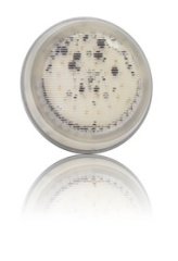 lumıplus pars56 2.0 led ampul - beyaz